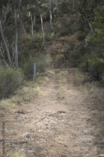 An unsealed Australian road in the Southern Highlands of NSW, Australia