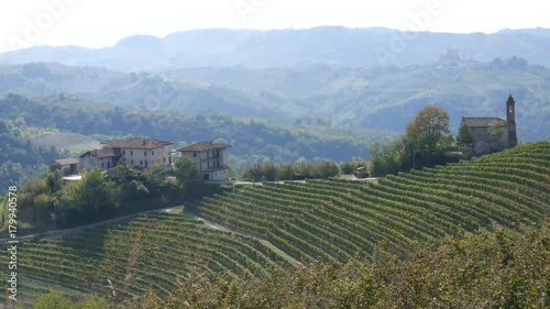 Langhe vigneti di vino Barbera in autunno