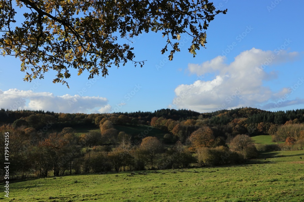 typisch Schleswig-Holstein, malerische Landschaft mit sanften Hügeln
