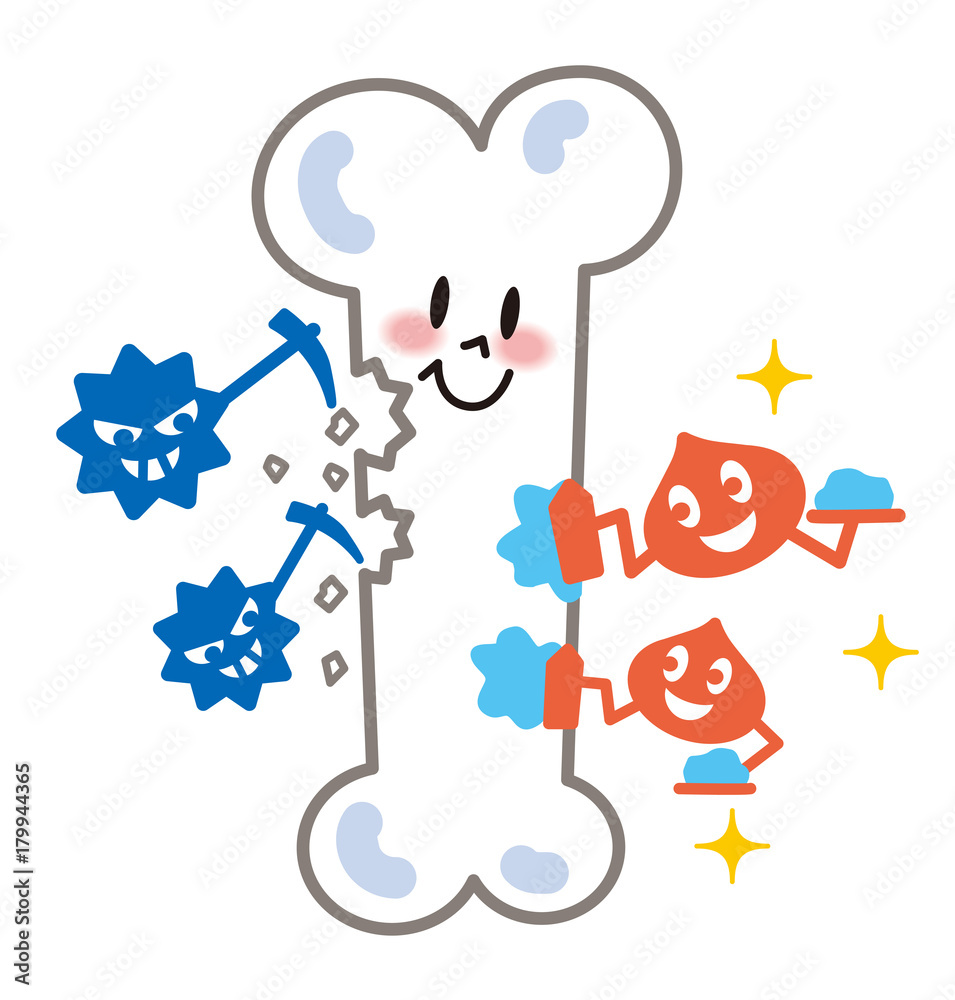 骨破骨細胞骨芽細胞stock Illustration Adobe Stock 骨破骨細胞骨芽細胞stock Illustration Adobe Stock