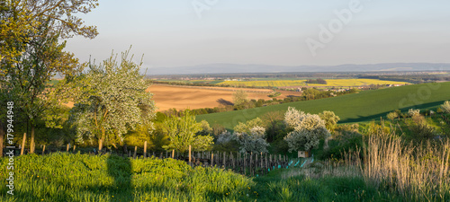 Wallpaper Mural Landscape with flowering trees Torontodigital.ca