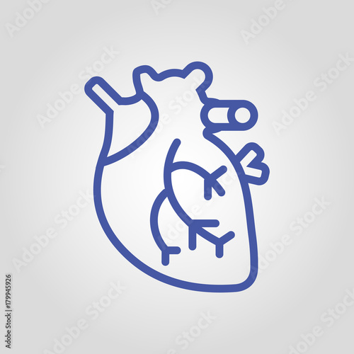 Anatomical real heart isolated flat vector linear icon
