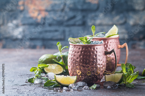 Photography Moscow mule cocktail