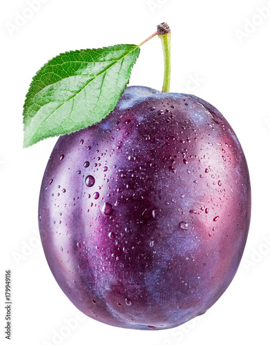 Plum with water drops. File contains clipping path. Fototapet