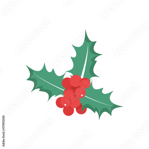 Holly berry leaves