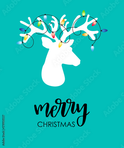 funny reindeer with christmas lights