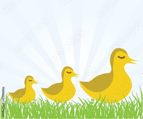 Illustraiton of young chicks