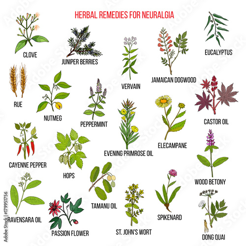 Best herbal remedies for neuralgia