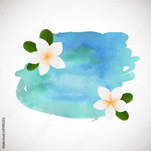 White plumeria flower logotype. Vector illustration of white Two Frangipani flowers with green leaves. Spa or beauty center logo