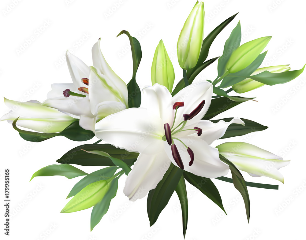 light lily flowers bunch on white background light lily flowers bunch on white background