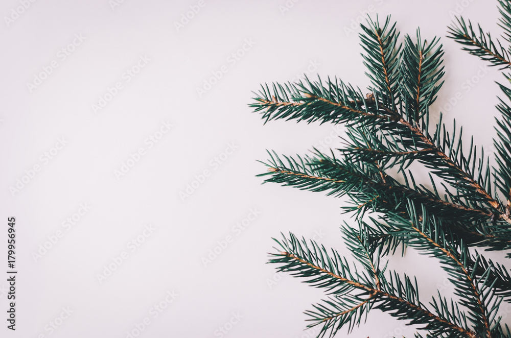 Branch Of The Fir