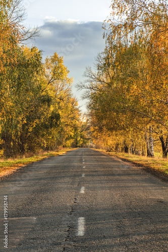 Empty autumn road along golden winter wheat fields at sunset