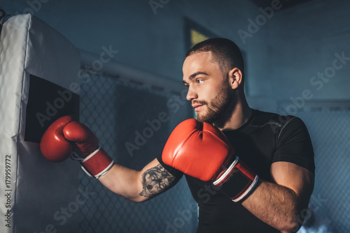 muscular sportsman in boxing gloves © LIGHTFIELD STUDIOS