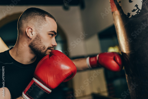 boxer © LIGHTFIELD STUDIOS