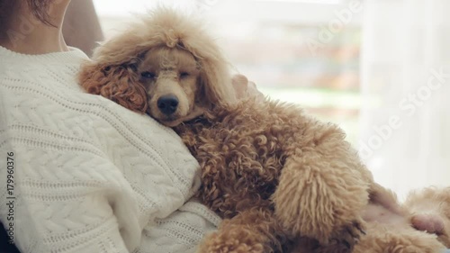 Young woman is resting with a dog at home .