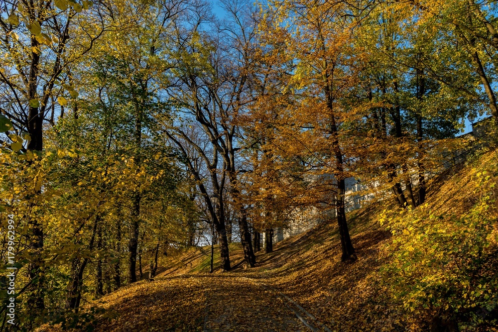 Przemyśl park. Jesień