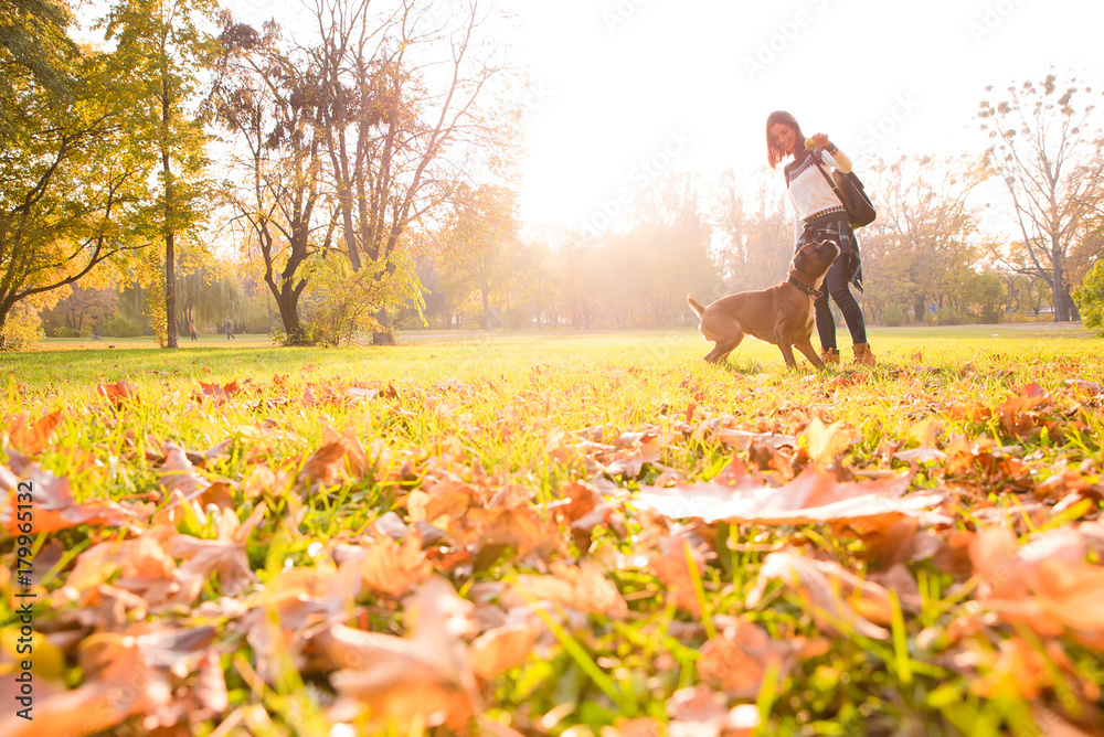 Beautiful young woman playing with her Dog in the forest Beautiful young woman playing with her Dog in the forest