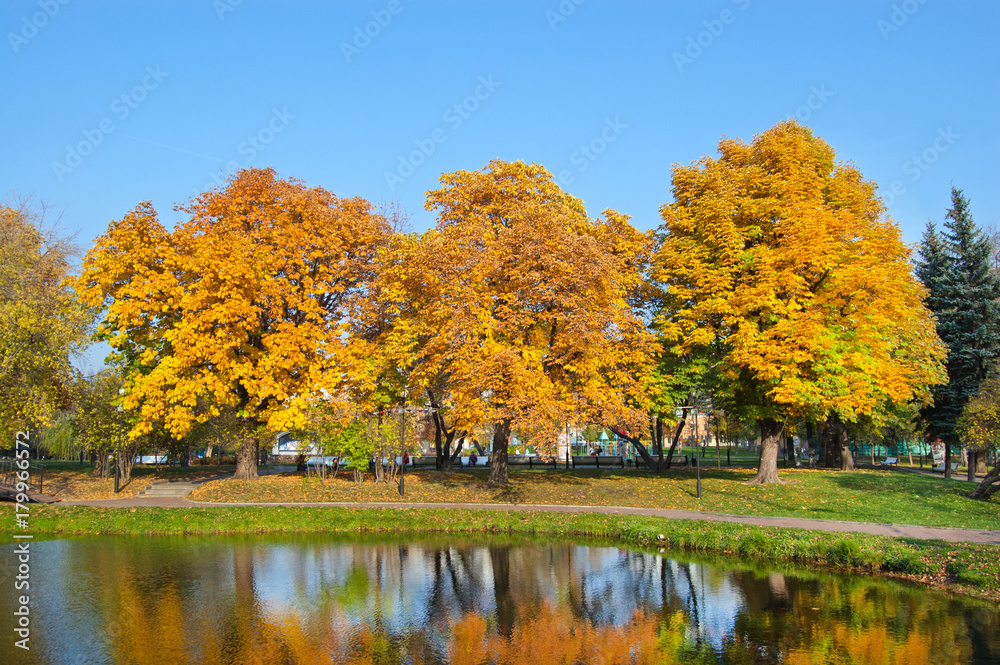 Pond in park