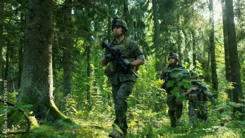 Squad of Five Fully Equipped Soldiers on a Reconnaissance Military Mission. They're Moving in Formation Through Dense Forest. Squad of Five Fully Equipped Soldiers on a Reconnaissance Military Mission. They're Moving in Formation Through Dense Forest.