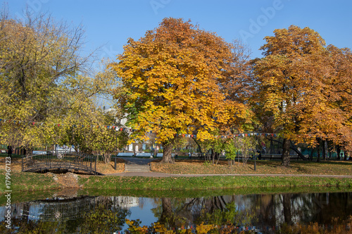 Pond in park