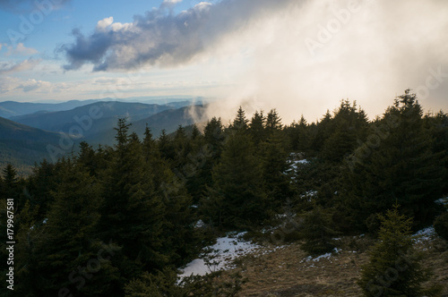 forest and cloudy sky © LIGHTFIELD STUDIOS