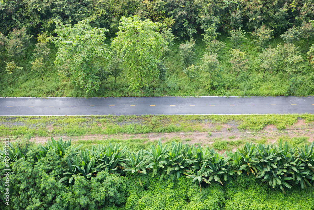 Bird eye view of trail in an open green field