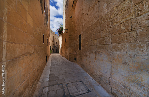 Fototapeta Naklejka Na Ścianę i Meble -  Street in Mdina (Malta)