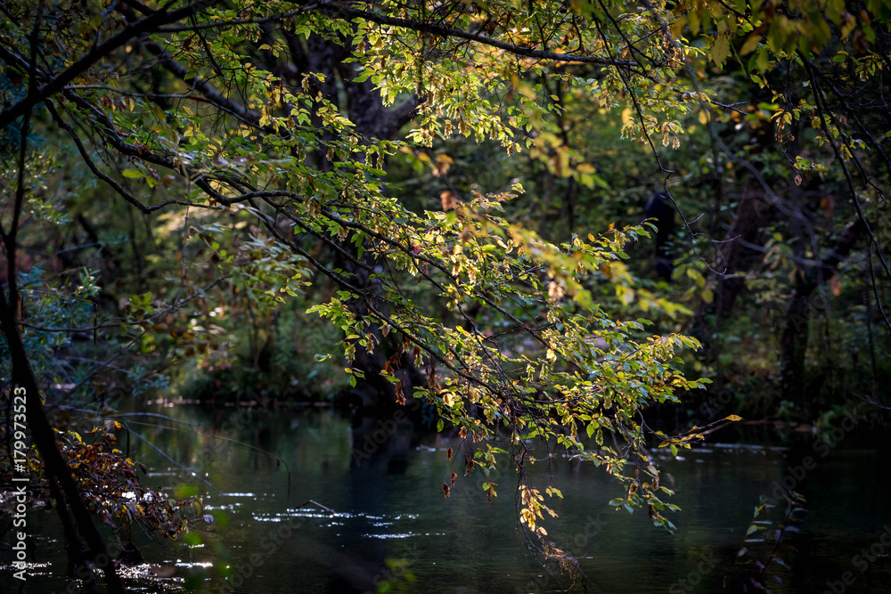 river river