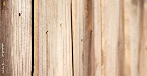 abstract texture of a wood wall