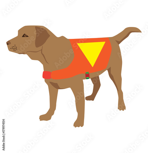 Cartoon labrador retriever rescue Dog. Lifeguard dog Squadron. Vector illustration.