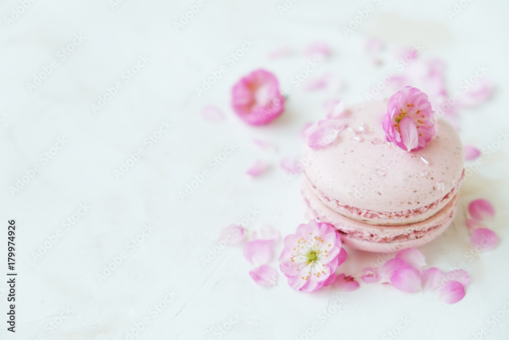 Macaron or macaroon french coockie on white textured with spring sakura flowers, pastel colors. Macaron or macaroon french coockie on white textured with spring sakura flowers, pastel colors.