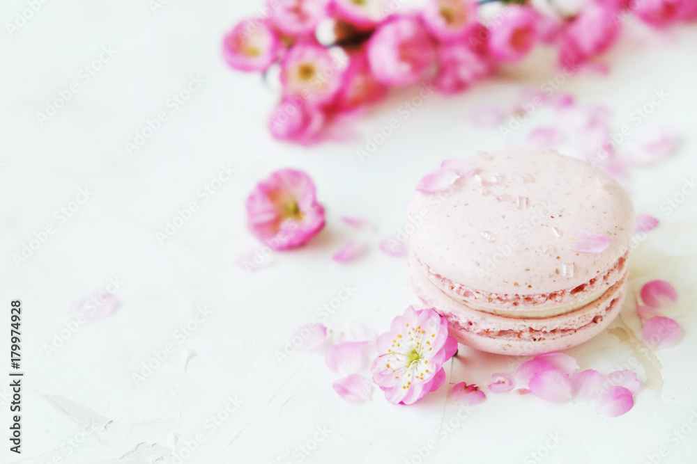 Macaron or macaroon french coockie on white textured with spring sakura flowers, pastel colors.