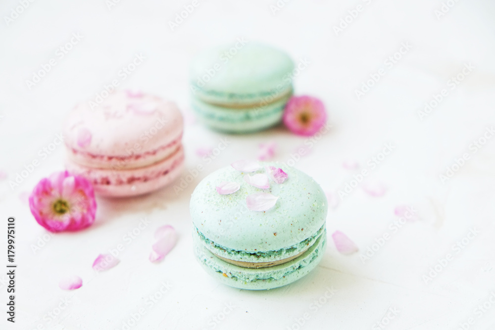 Macaron or macaroon french coockie on white textured with spring sakura flowers, pastel colors.