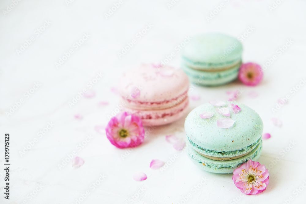 Obraz premium Macaron or macaroon french coockie on white textured with spring sakura flowers, pastel colors.