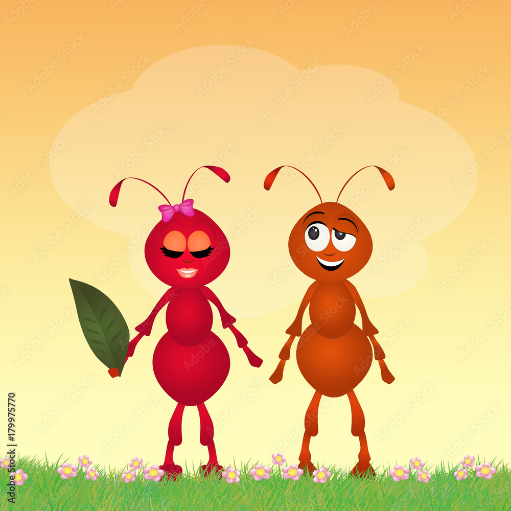 Obraz premium Ants in love