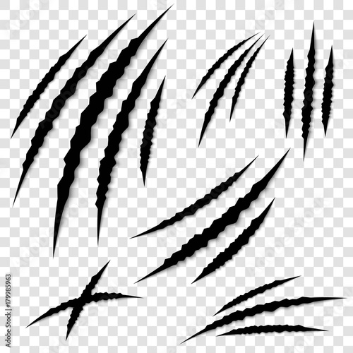 Creative vector illustration of claws paw scratches isolated on background. Art design. Animal horror scratching of cat, tiger, lion, pantera, bear. Abstract concept graphic element