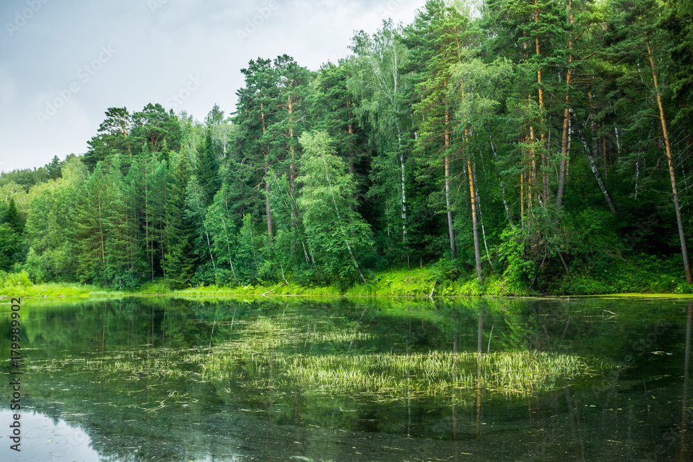 Beautiful pond with clear water in the forest Beautiful pond with clear water in the forest