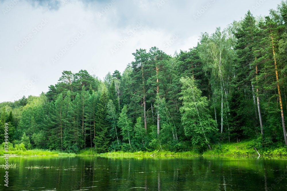 Beautiful pond with clear water in the forest