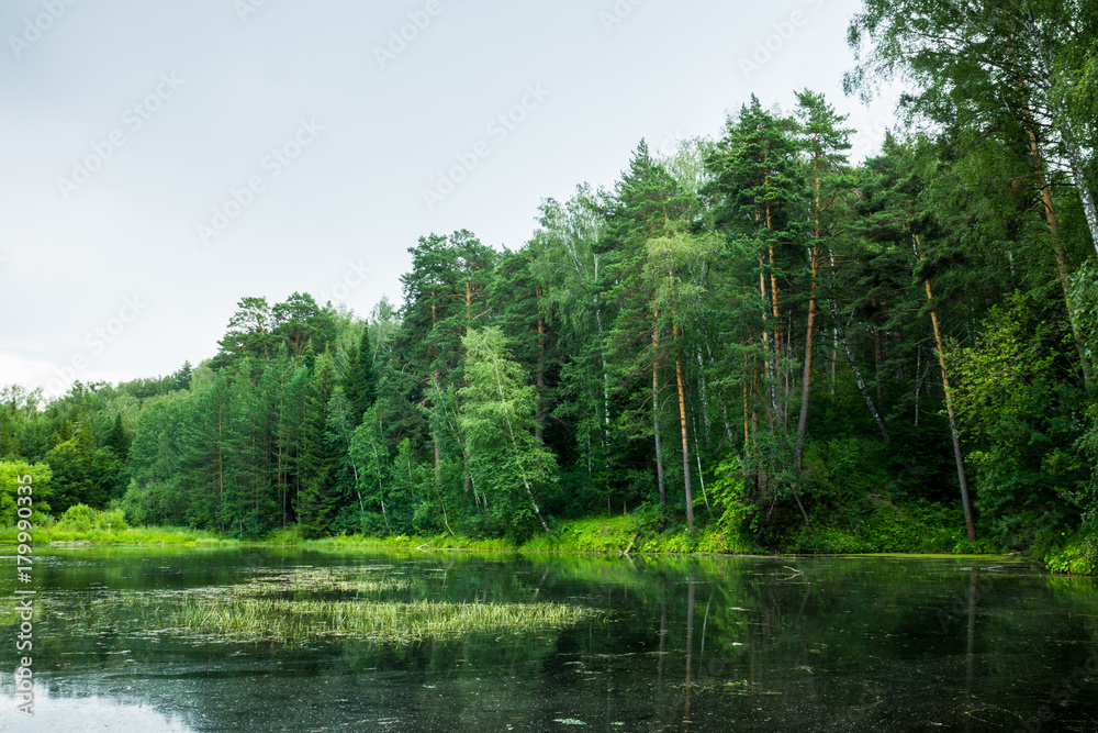 Beautiful pond with clear water in the forest Beautiful pond with clear water in the forest