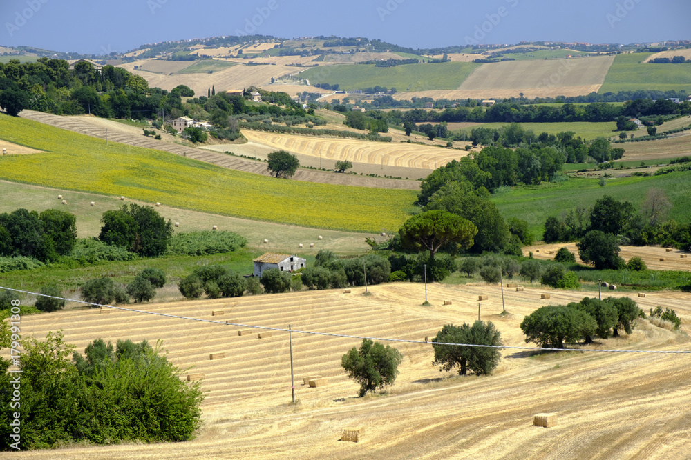 Fototapeta premium Landscape near Sant'Elpidio a Mare (Marches, italy)