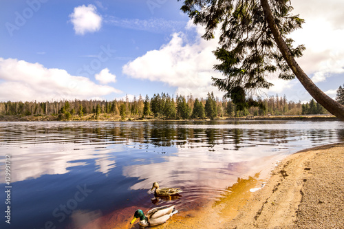 Der Oderteich im Wunderschönen Harz photo