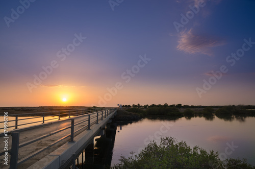 Bridge at Khor Kalba mangrove reserve photo