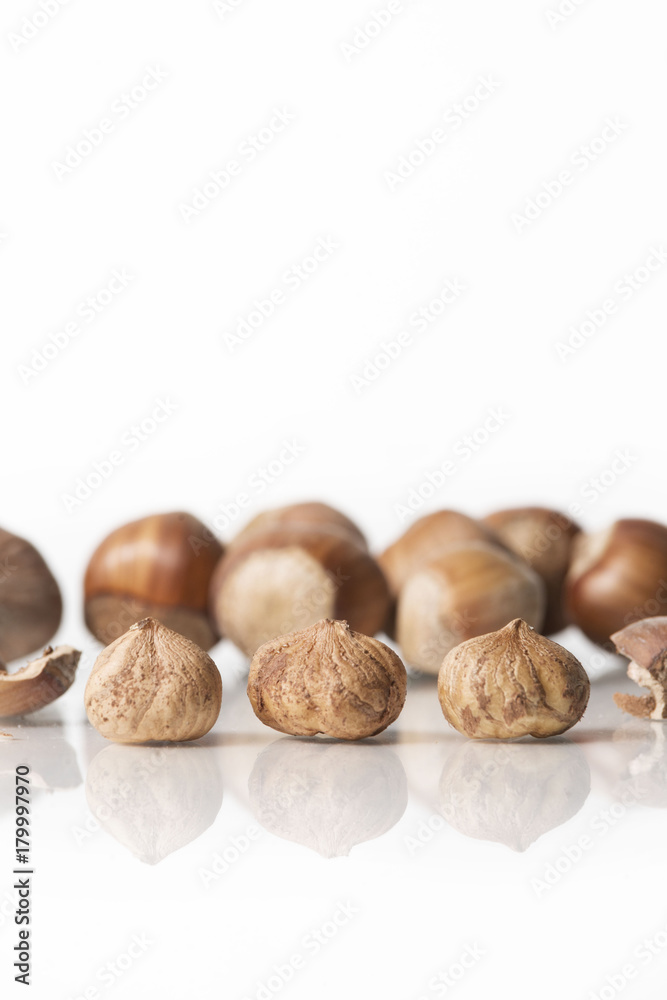 hazelnuts isolated on white background hazelnuts isolated on white background