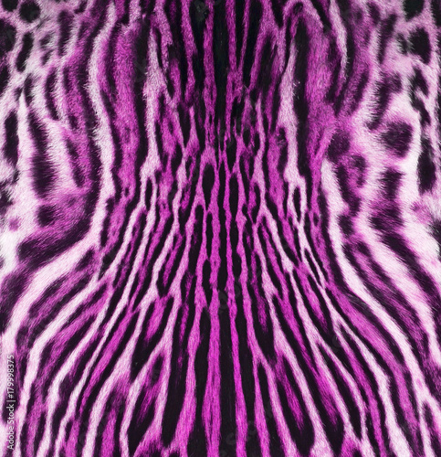 feline fur texture background