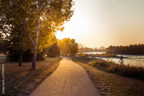 Warm autumn sunshine on walking path photo