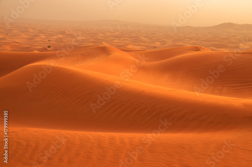 Desert sand dunes © Dionell