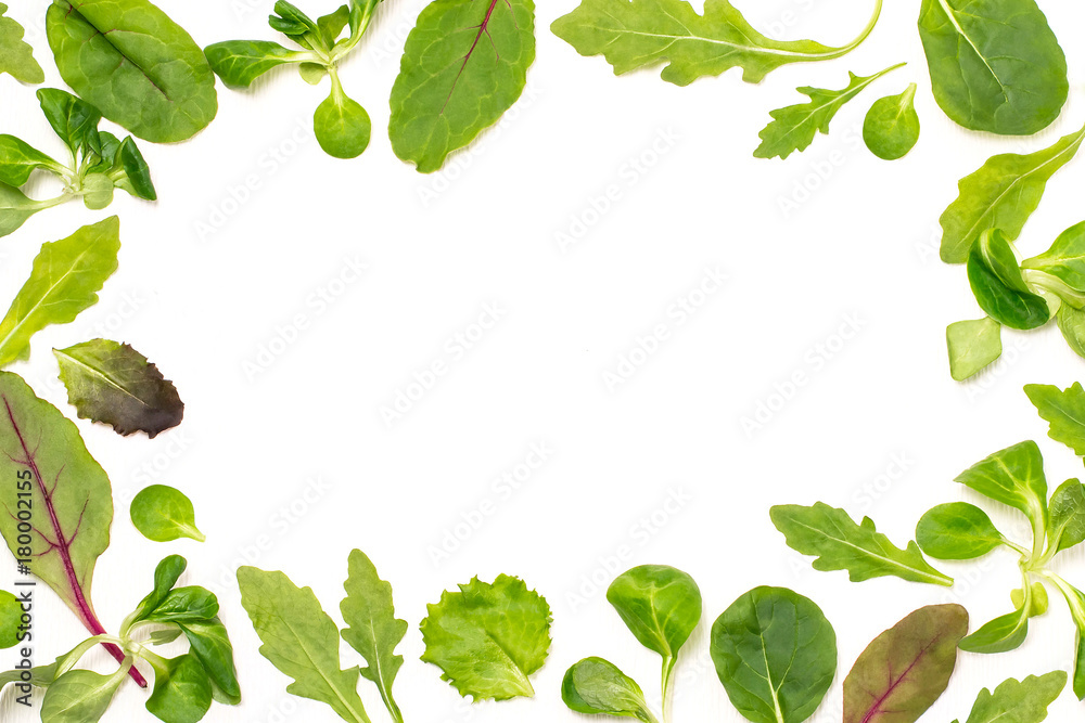 Frame of different salad leaves on white background