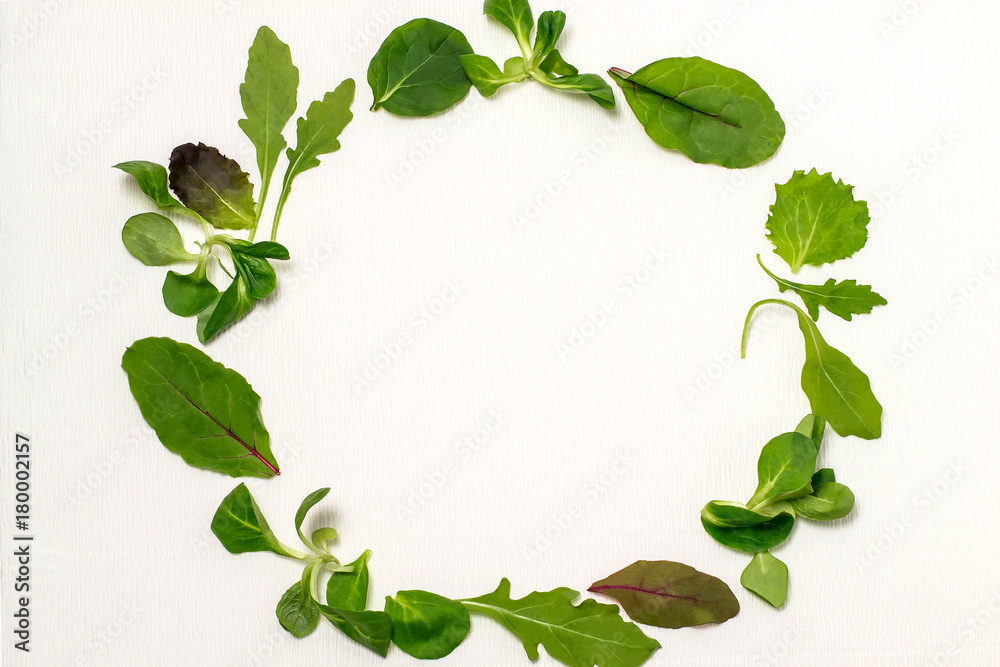 Round frame of different salad leaves on white background