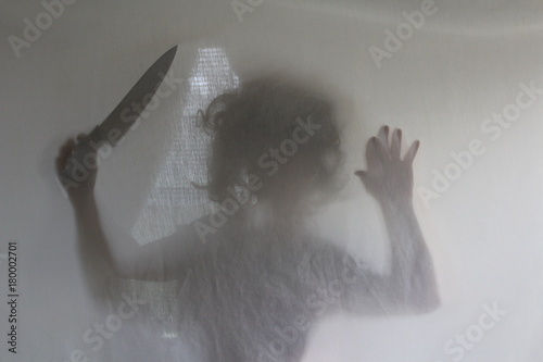 Silhouette of Woman Holding Butcher Knife