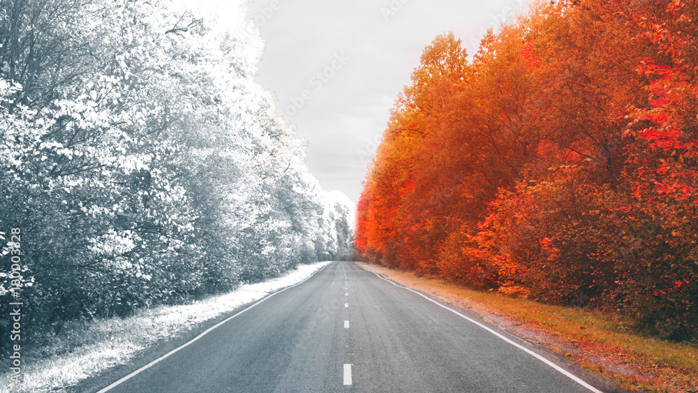 Fototapeta premium winter and autumn in one photo of the road 